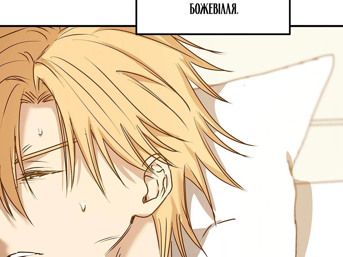 88974406 1440 1080 149336